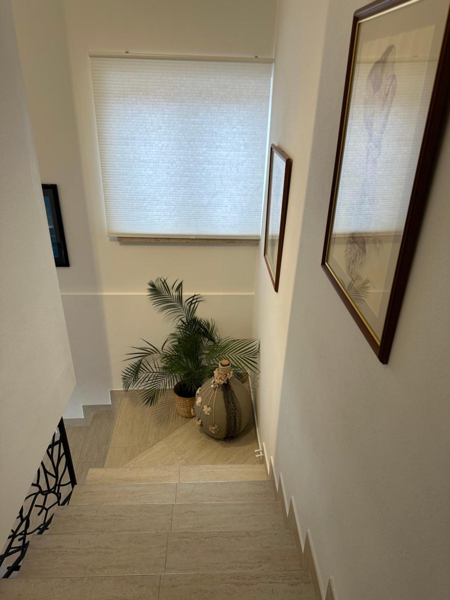 Starcevic Apartment